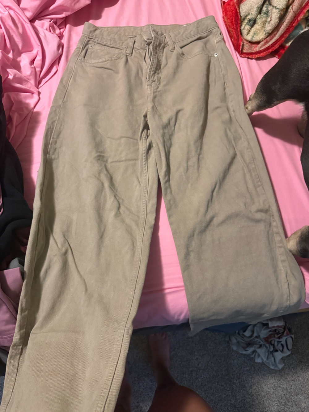 Gap Barrel Jean